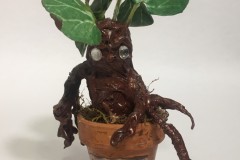 Mandrake